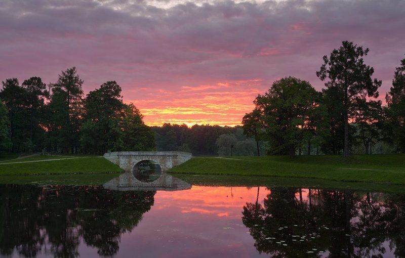гатчина, утро, рассвет, дворцовый парк, карпин пруд, мост Гатчина: Карпин прудphoto preview