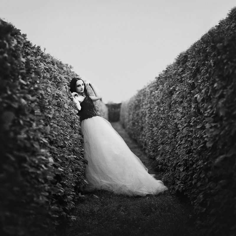 labyrinthphoto preview