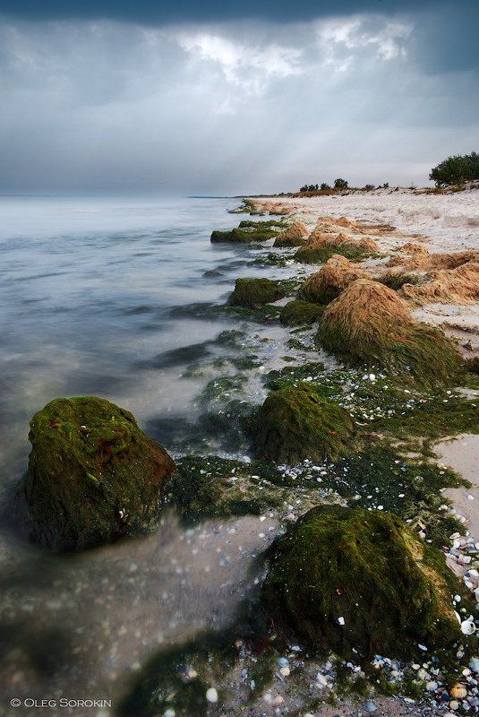 кинбурнская, коса Тинаphoto preview