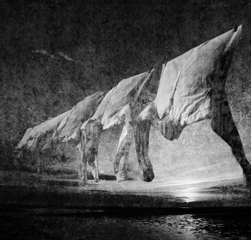 Fly Awayphoto preview