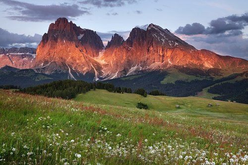 Evening Sassolungo