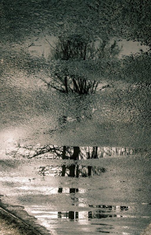 Триптихphoto preview