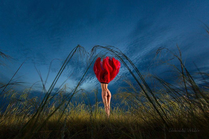 Мак-Наркотический (новый подвид цветов)photo preview