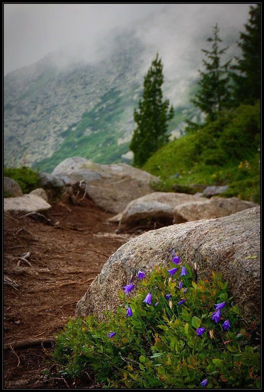 bulgaria, vitosha photo preview