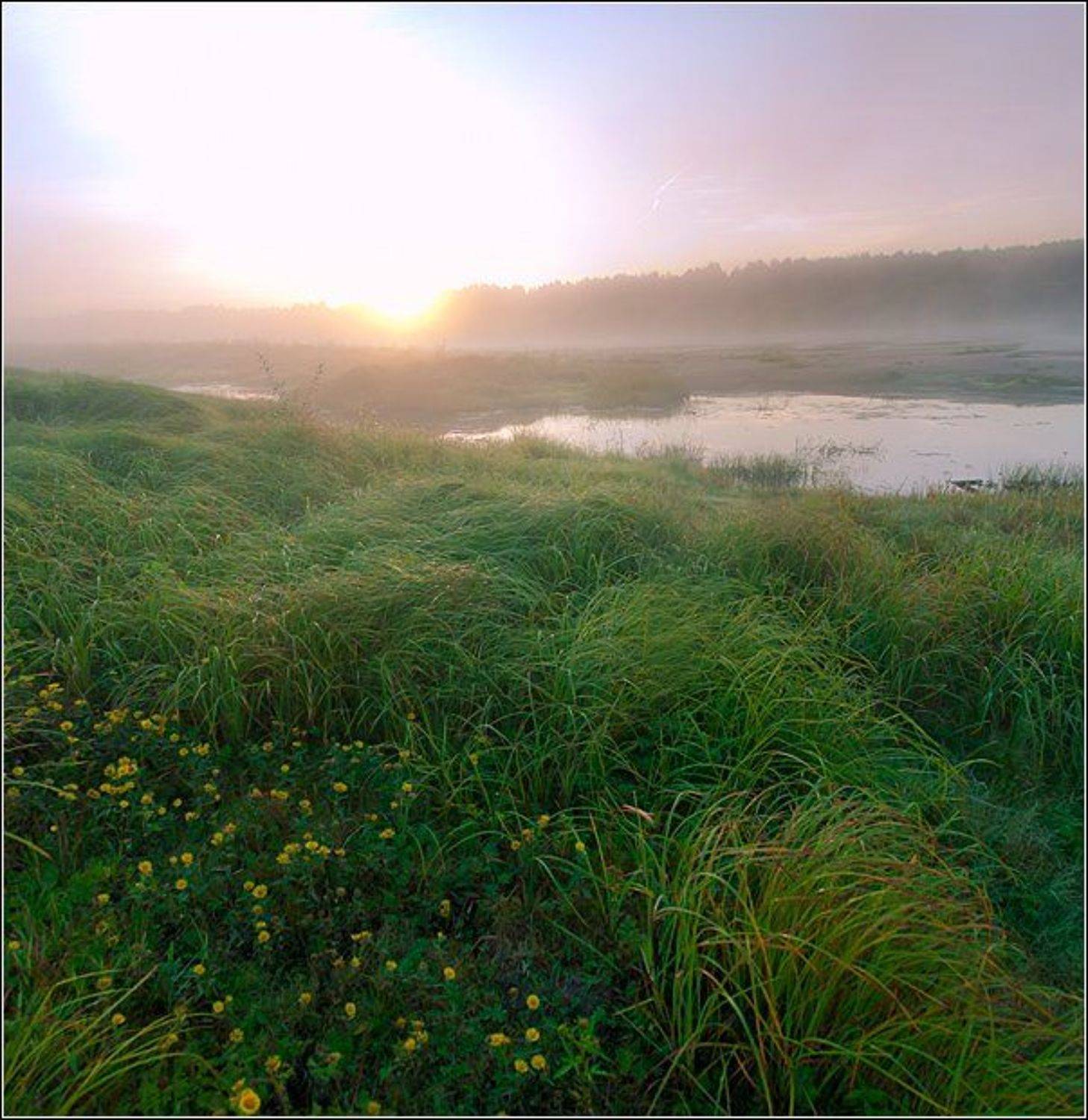 Рассвет, Andrey Agafonov