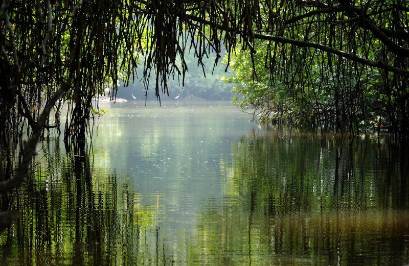 Выходphoto preview