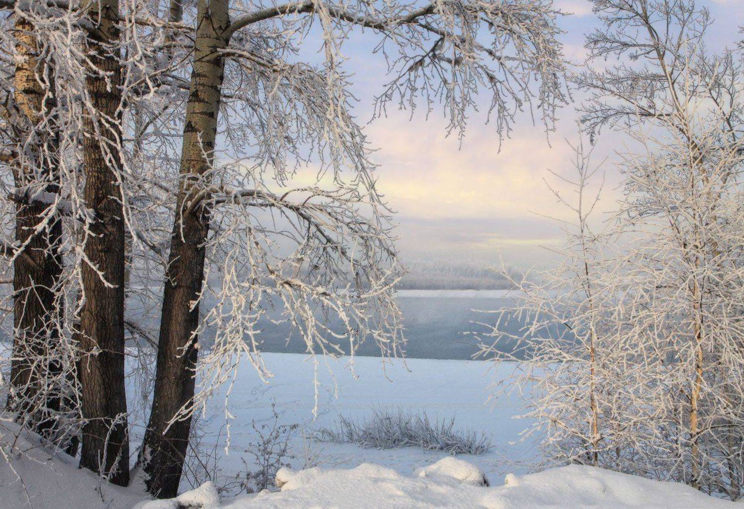 В морозном кружеве. Автор: Галина Хвостенко кузбасс, новокузнецк, томь, Галина Хвостенко