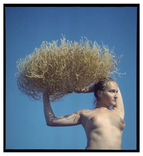 Tumbleweed