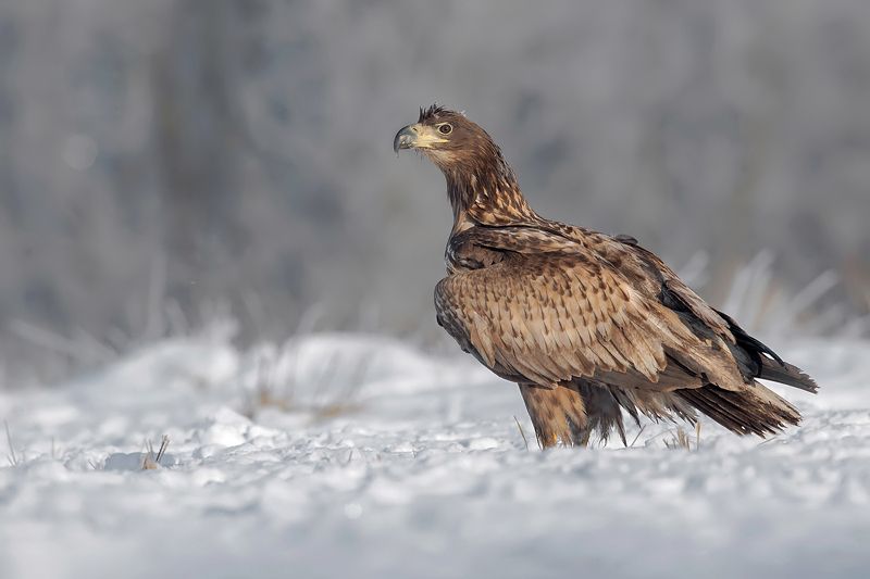 Młodzieżphoto preview