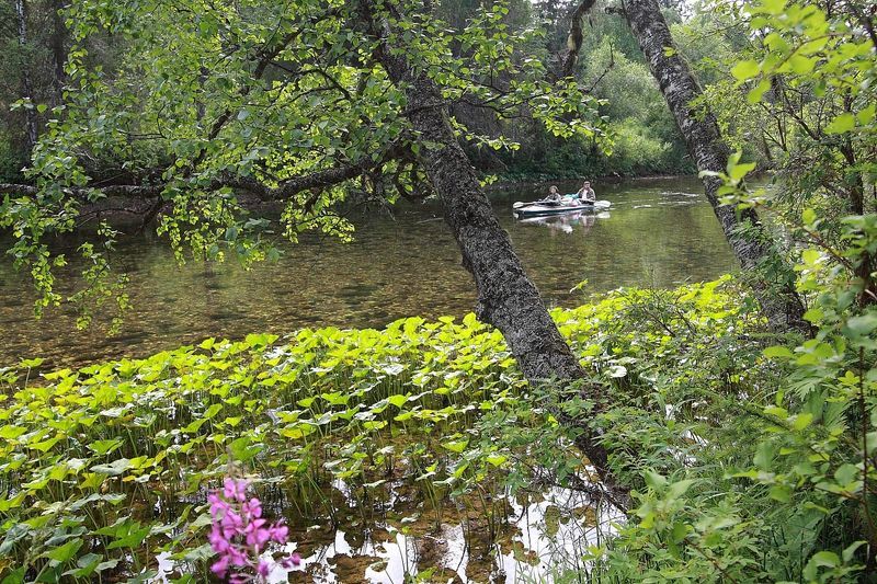 По северной рекеphoto preview