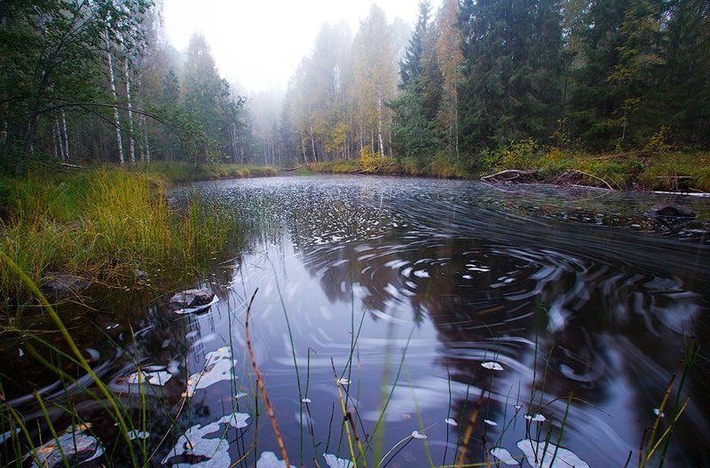 карелия, природа, россия, лес, река, осень, вода, поток, водоворот, струя, russian, karelia, nature, autumn, forest, river, water, flow, swirl, jet Круговорот воды в природеphoto preview