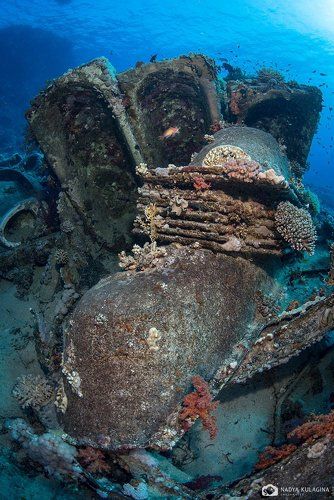 Дела сантехнические