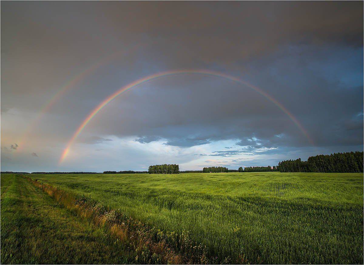 , Кутыгин Эдуард