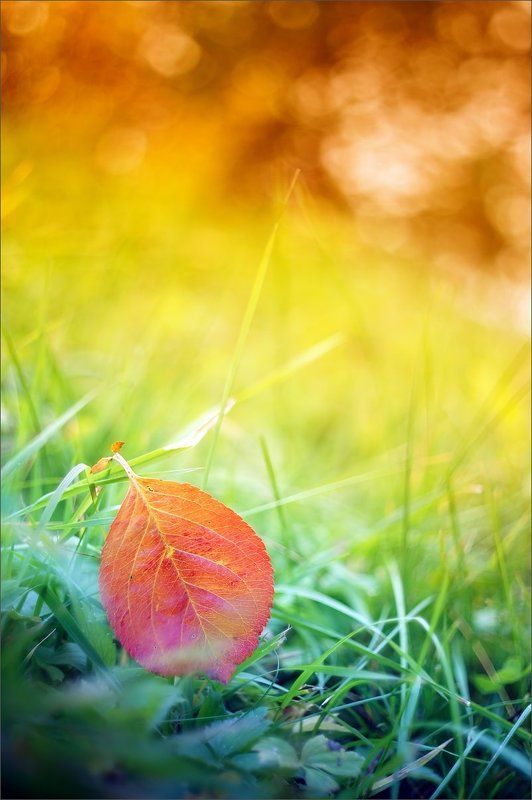 Рисуя осеньphoto preview