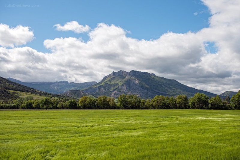 Альпийские лугаphoto preview