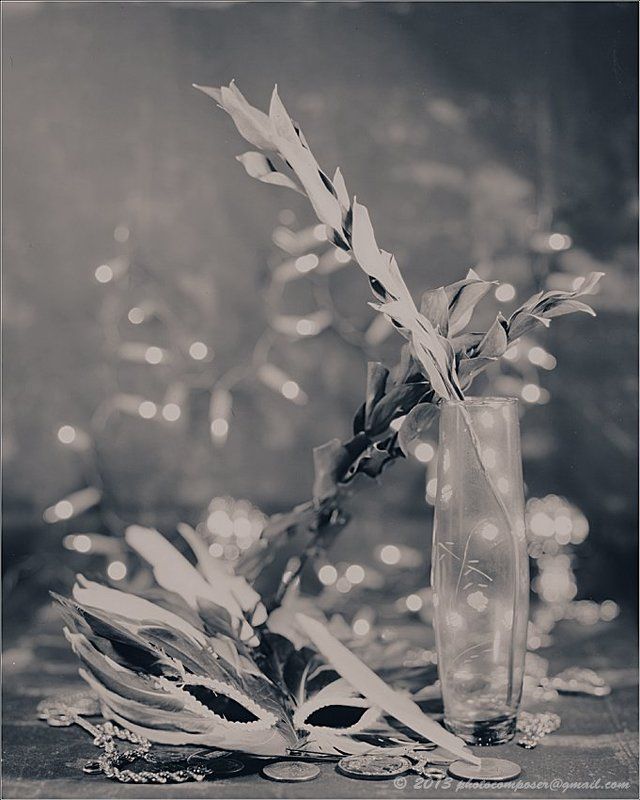 Burke & James, Ilex 215mm, Paper negative Still life....photo preview