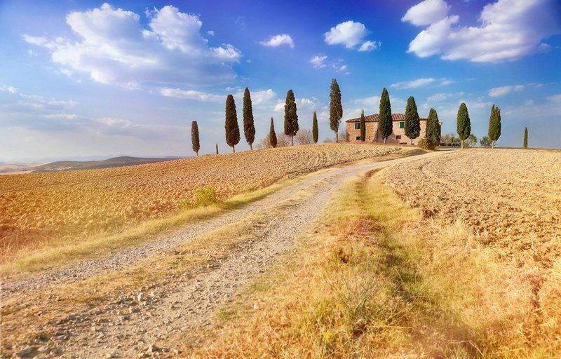 Вила, Дорога, Италия, Кипарис, Небо, Облака, Пейзаж, Поле, Природа, Тоскана Золотая виллаphoto preview