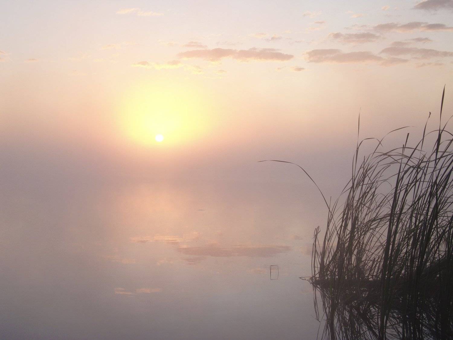 Тишина. Автор: Анджей , Анджей