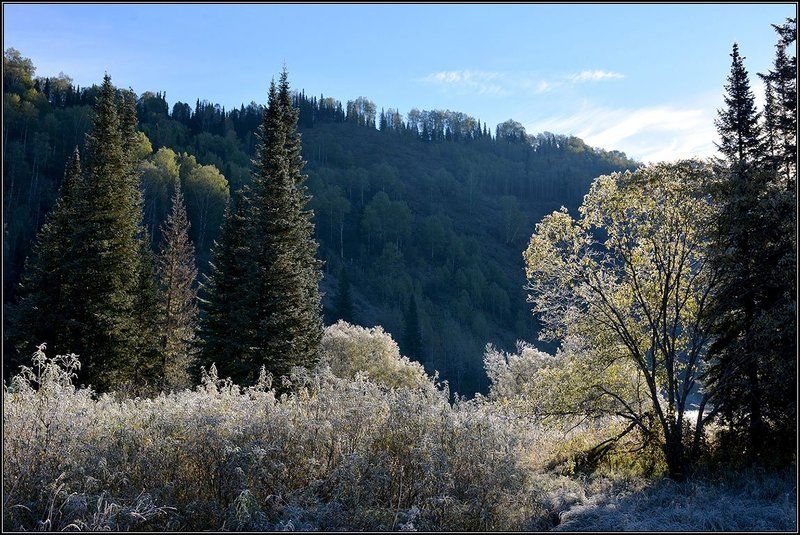 Ранние заморозкиphoto preview