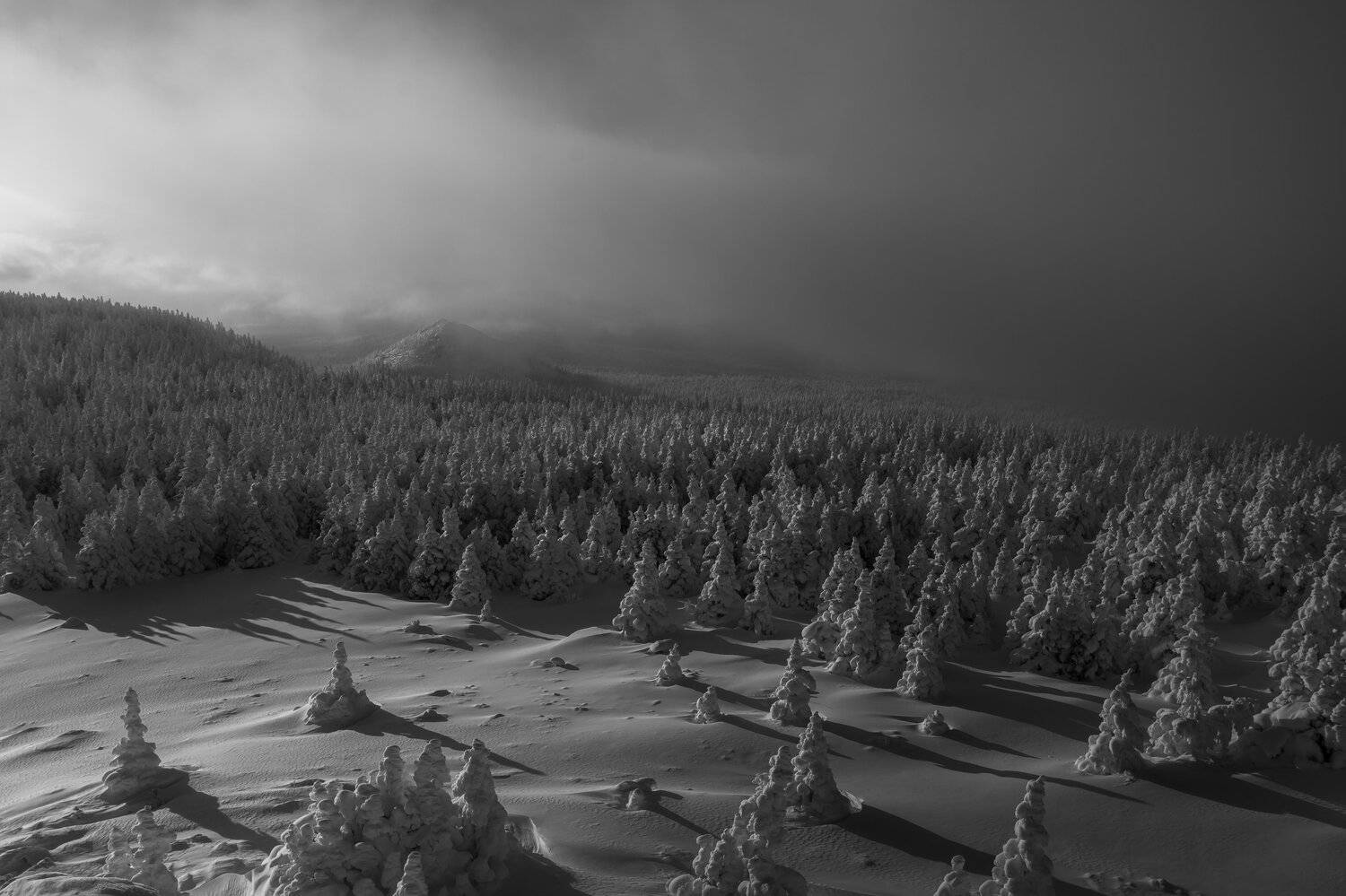 , Андрей Шарапов