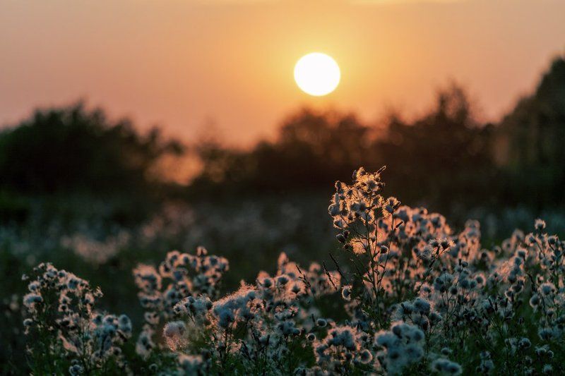 Вечерphoto preview