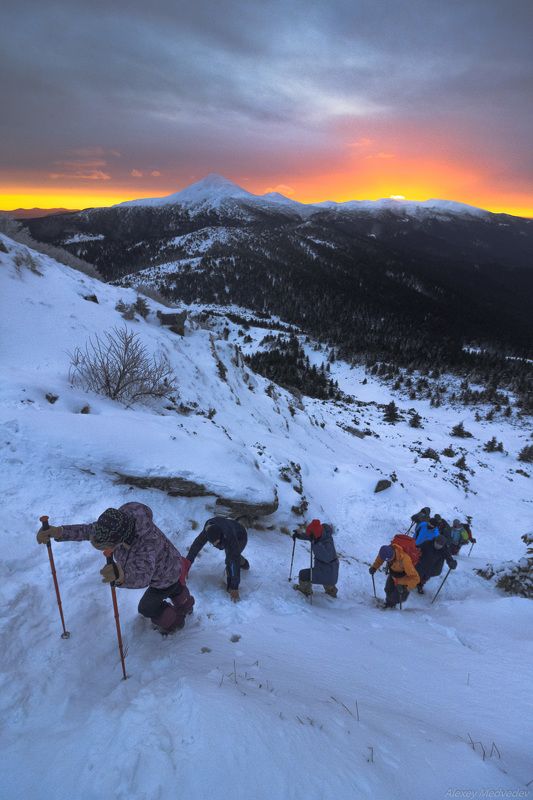 Карпаты, Украина, зима Рядочкомphoto preview