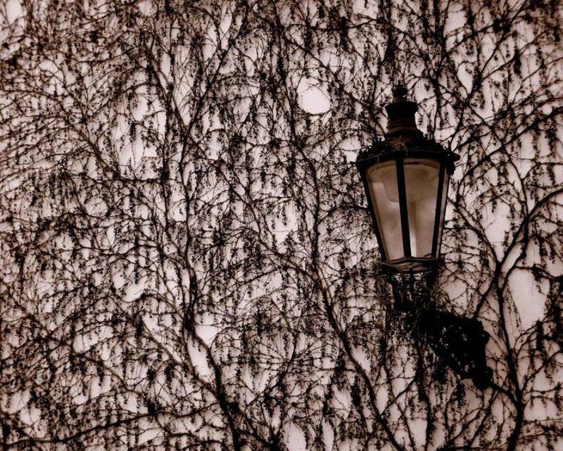 Ситец.photo preview