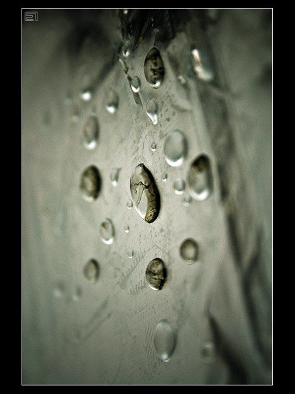 капли, вода Капли-2photo preview