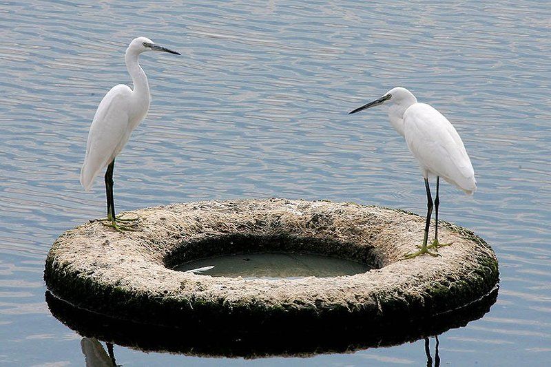 Шиномонтажphoto preview