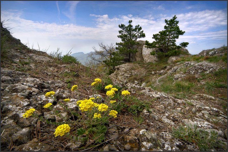 крым, горы, пейзаж Природа гор..photo preview