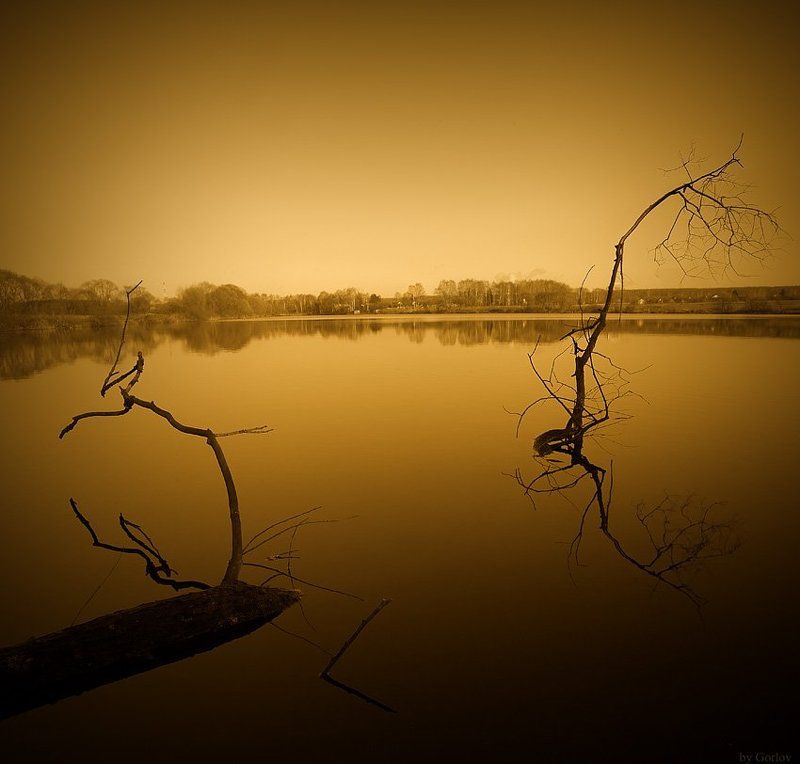 nature * Gold Nature *photo preview