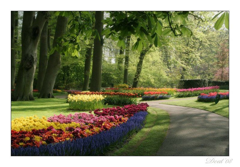 парк, весна, где, ты Где ты, Весна?photo preview