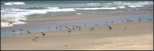 Мелочь, а приятно.