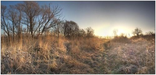 Заморозки