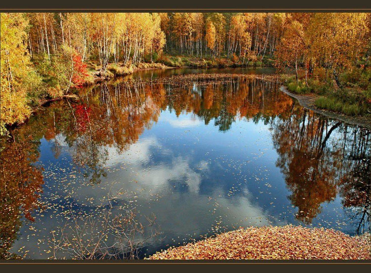 Осень идёт.... Автор: Зайцев Владимир , Зайцев Владимир