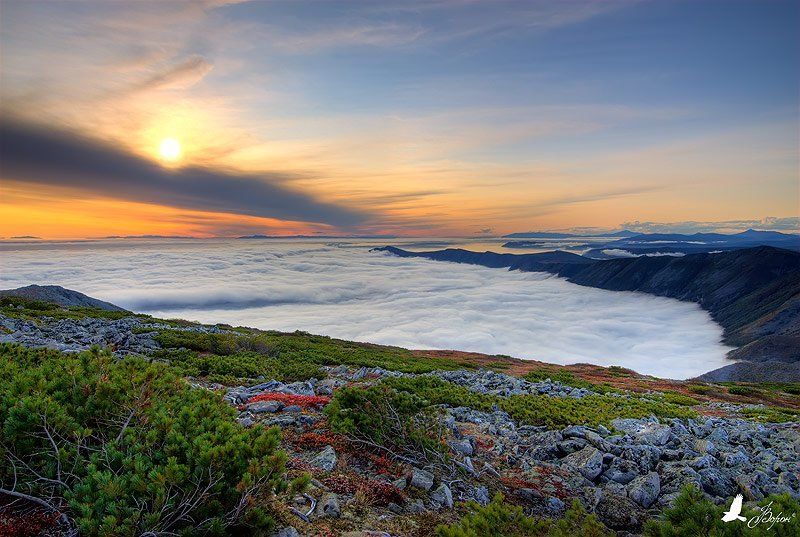 Закат на б.Светлаяphoto preview