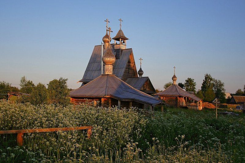 Золотая вечерняяphoto preview