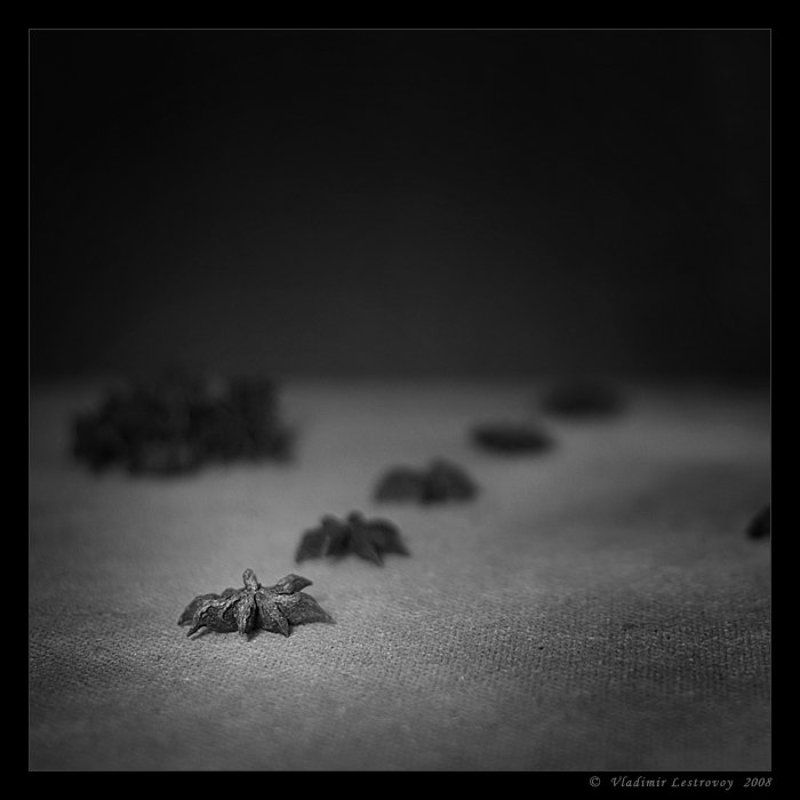 One of Usphoto preview