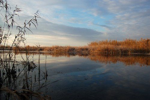 Легкое прикосновение зимы
