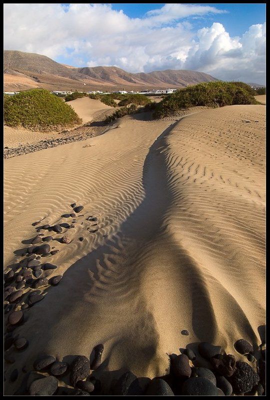 испания,канарские острова,лансароте,фамара,дюны,песок Фамараphoto preview