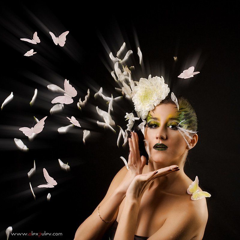 flowers in focus,девушка,флористика,цветы,свет,тень,стиль \