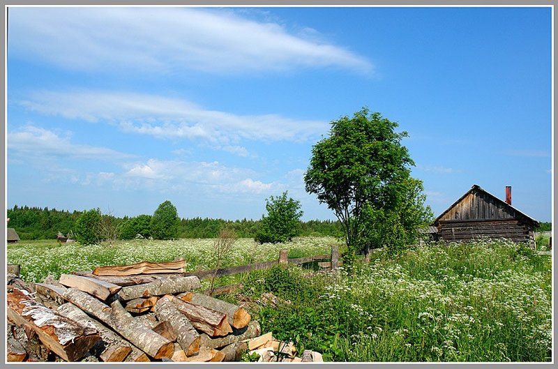 Лето в Зараменье.photo preview