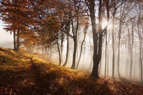 Autumn