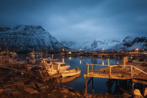 Harbor at night