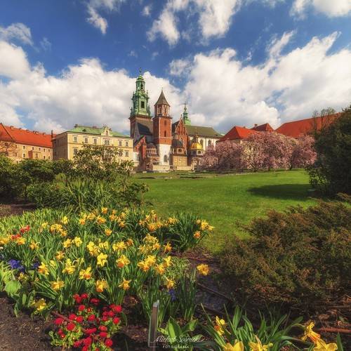 Castle Wawel.