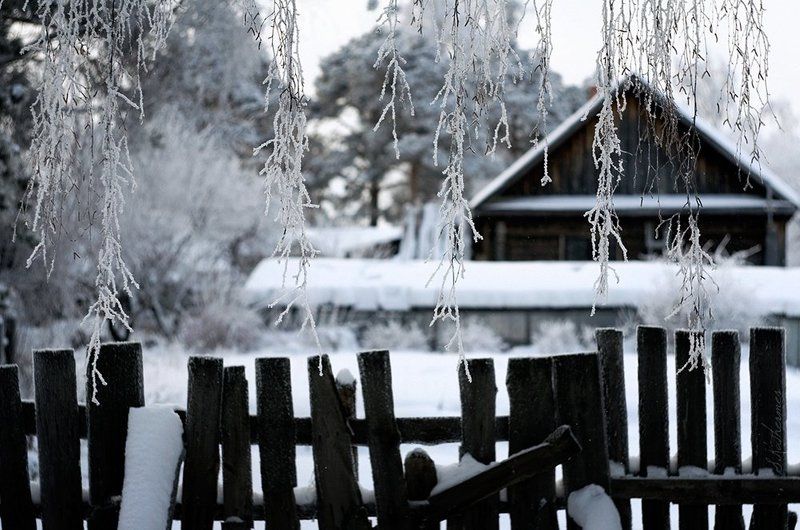 Морозphoto preview