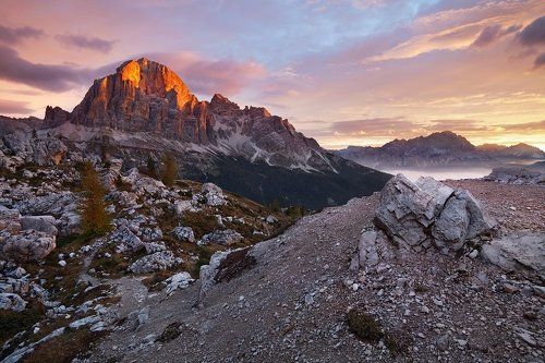 The first rays