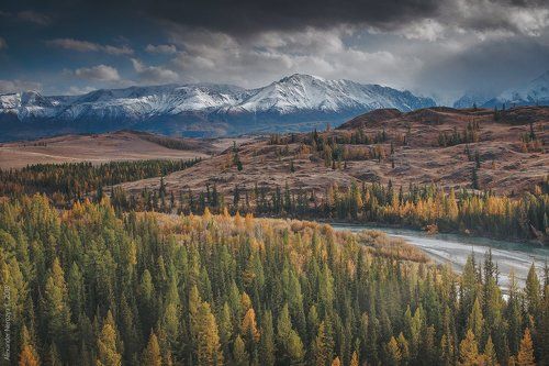 Спешное течение Чуи