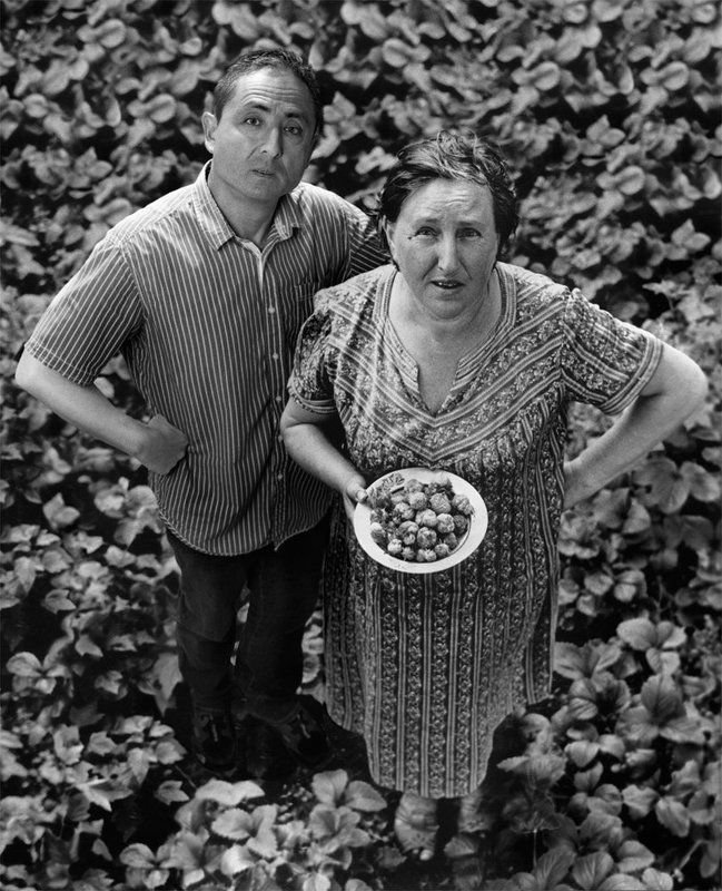 Alexey elkin, Flights in time, Алексей элькин, Время, Полёт Полёты во времениphoto preview