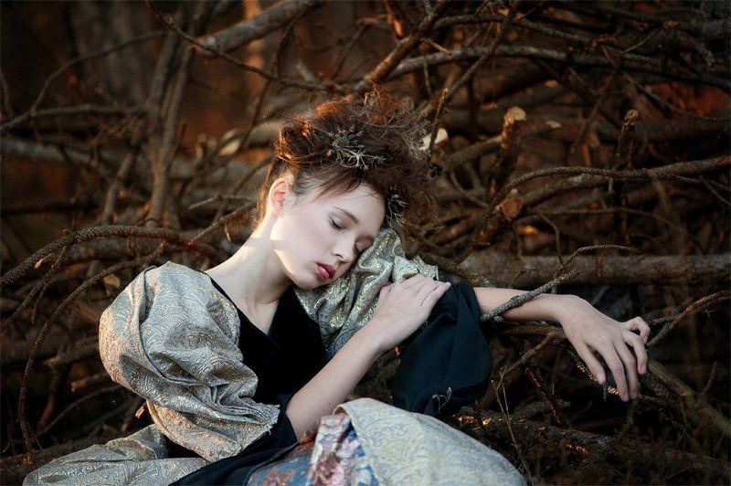 Magical Forestphoto preview